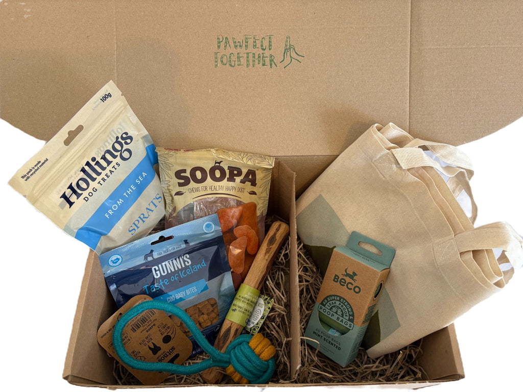 Sensitive Soul (Hypoallergenic) image 1