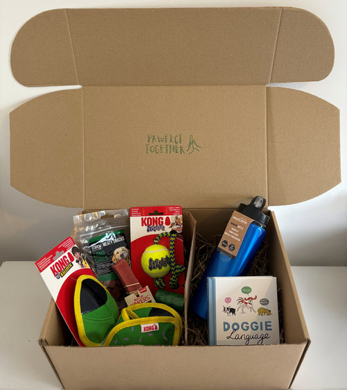 Adult Dog Subscription Box image 0